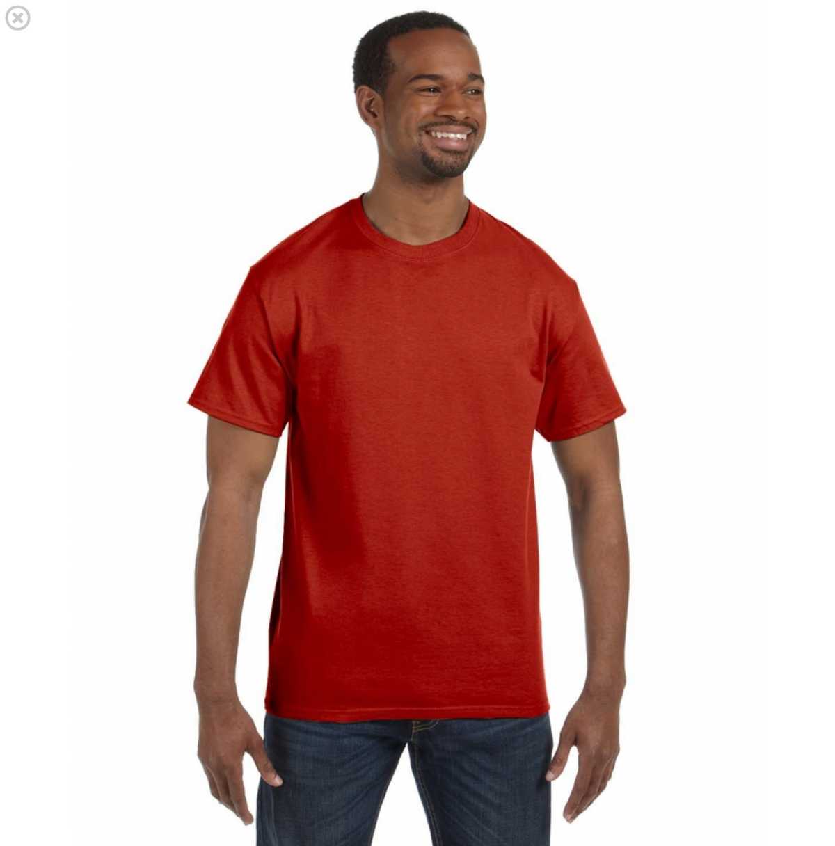 Hanes Men's Authentic-T T-Shirt