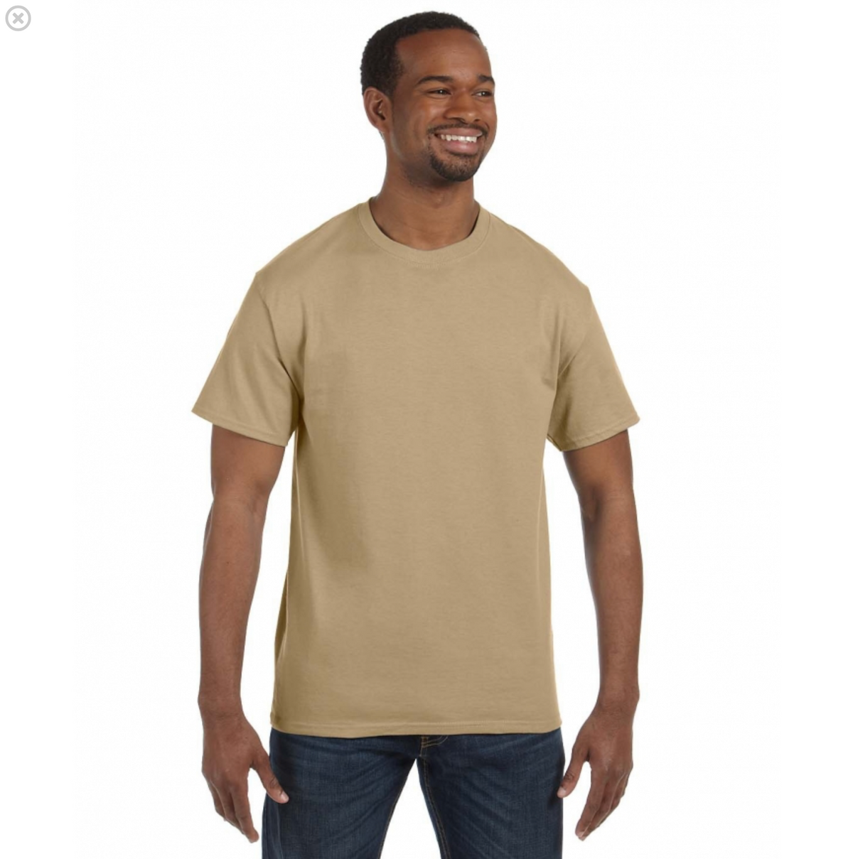 Hanes Men's Authentic-T T-Shirt